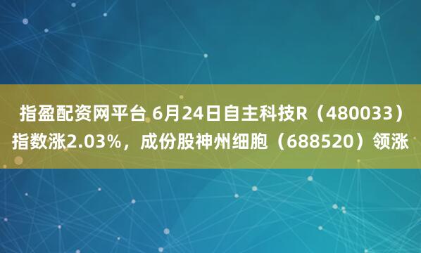指盈配资网平台 6月24日自主科技R（480033）指数涨2.03%，成份股神州细胞（688520）领涨