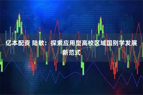 亿本配资 陆敏：探索应用型高校区域国别学发展新范式