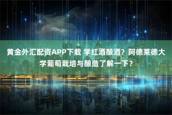 黄金外汇配资APP下载 学红酒酿酒？阿德莱德大学葡萄栽培与酿造了解一下？